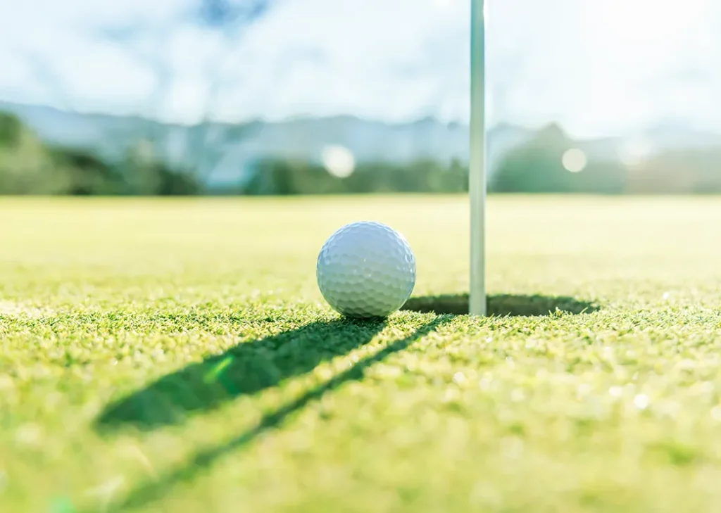 各種リフレッシュイベント